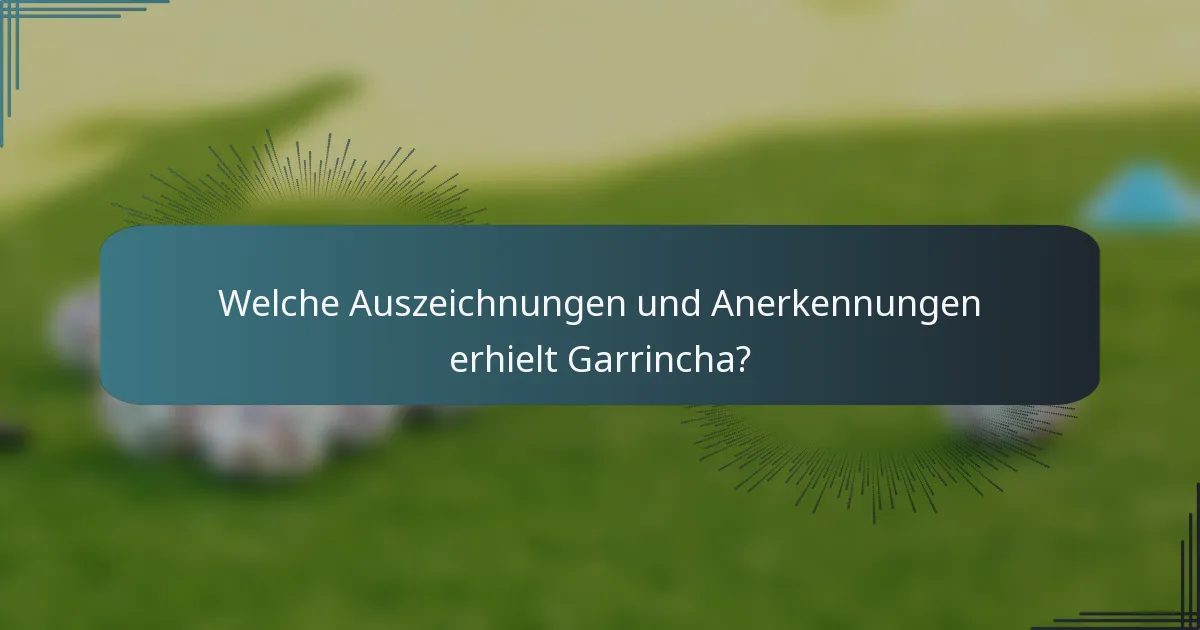 Welche Auszeichnungen und Anerkennungen erhielt Garrincha?