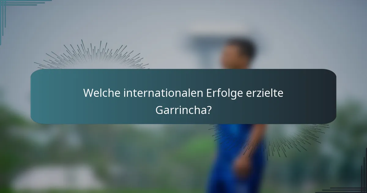 Welche internationalen Erfolge erzielte Garrincha?